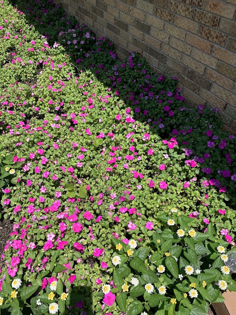 Tulsa Lawn Care Services and Maintenance LLC