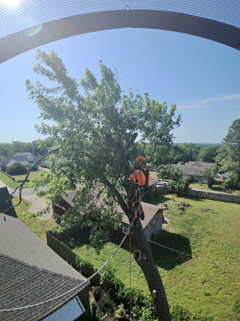 Arbor Elite Tree Services LLC