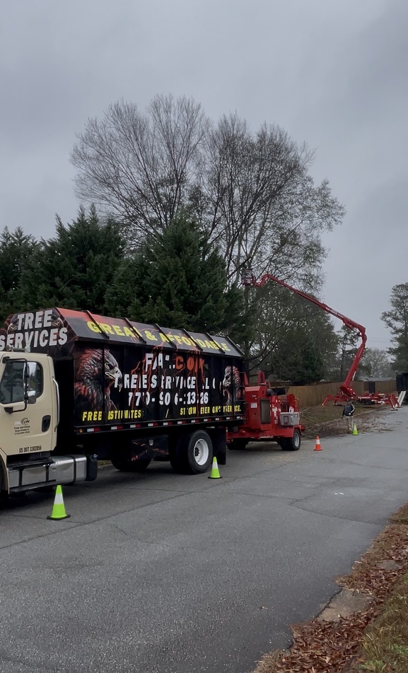 Falcon tree services llc