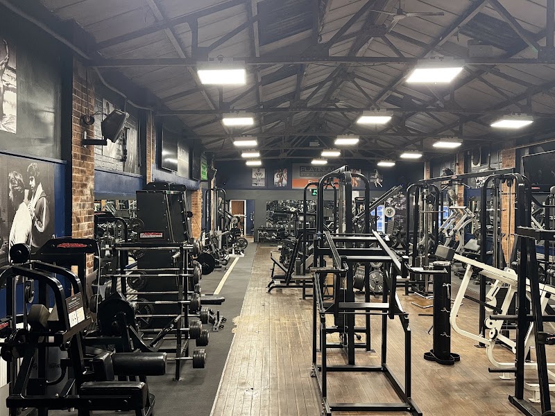 Platinum Gym and Fitness