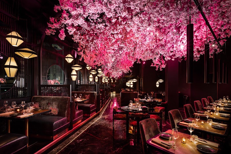 Nōshi Restaurants - Nottingham | Restaurant and Cocktail Bar