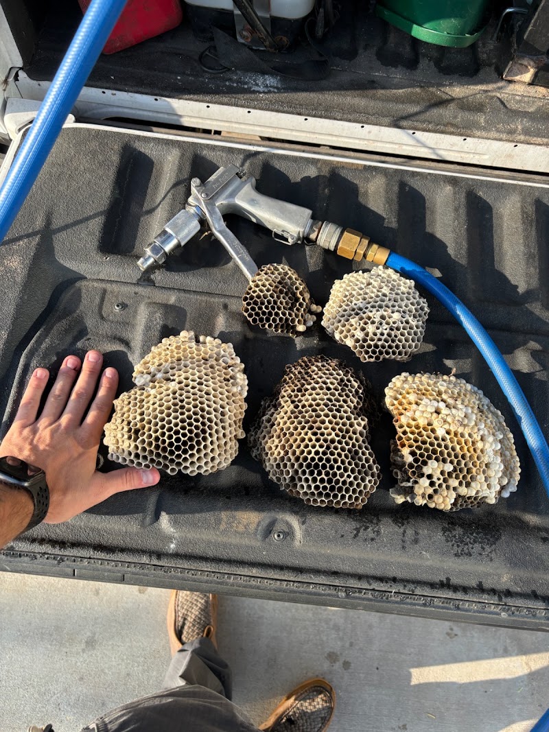 Pest Control Conroe - Full Scope