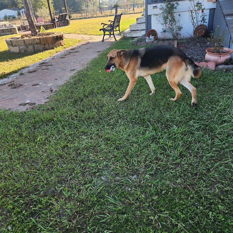 Lone Star Animal Hospital