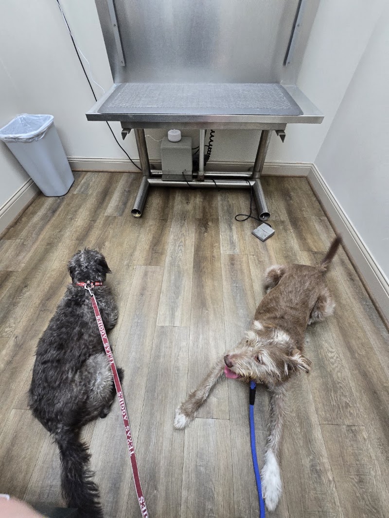 Lone Star Veterinary Hospital