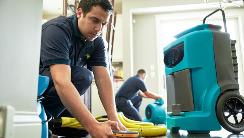 ServiceMaster By Ike