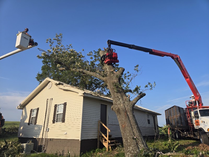 Checotah Tree Service