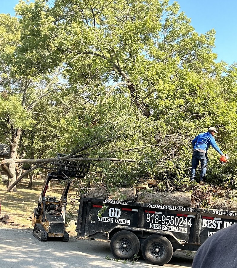 GD Tree Care LLC