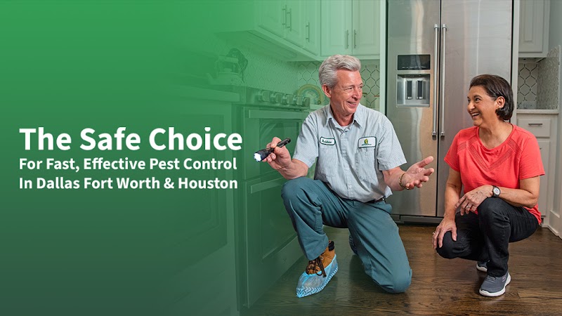 All Safe Pest & Termite