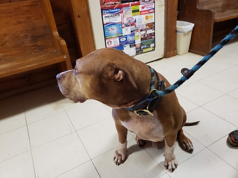 Coldspring Veterinary Clinic