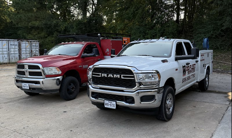DD FLEET SERVICES