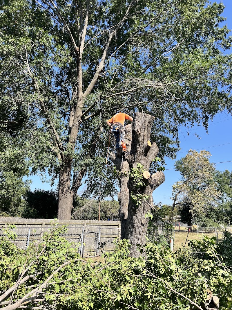 Upper Cuts Tree Services and Stump Grinding, LLC