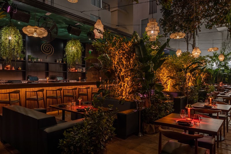 BÂOLI Miami