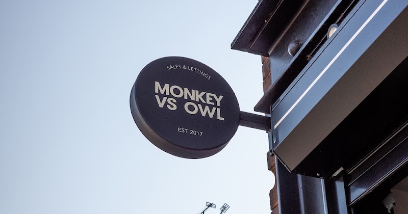 Monkey vs Owl