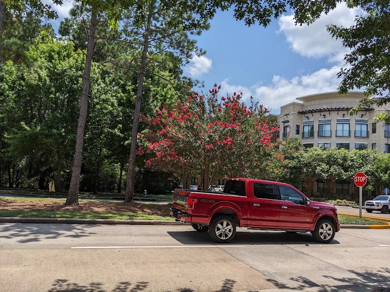 Apex Roofing Company The Woodlands