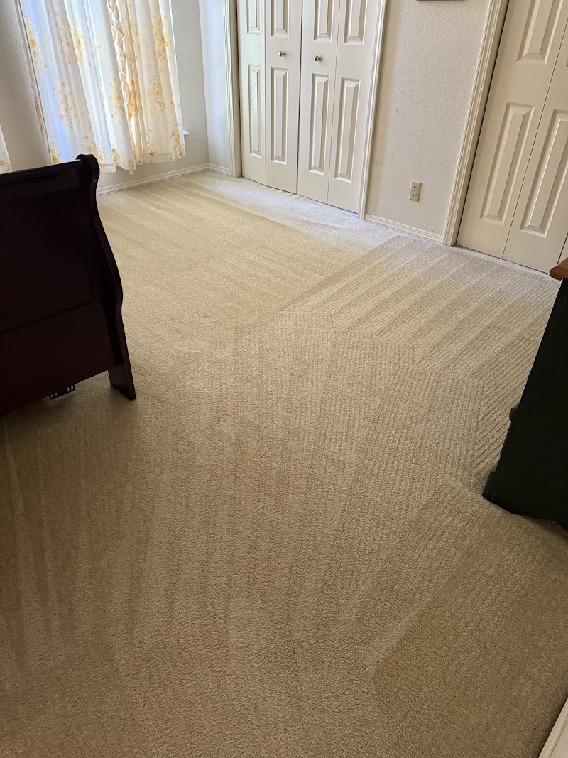 Complete Carpet