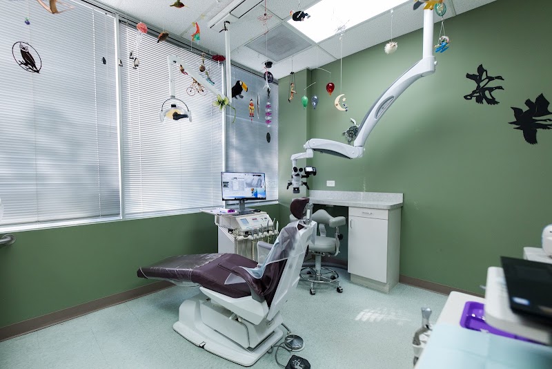 Fox Creek Endodontics