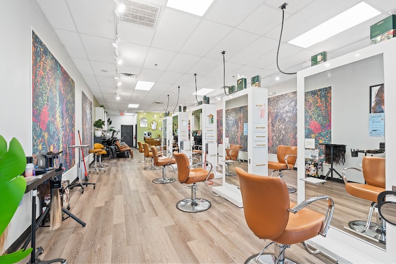 The Color Bar- Conroe
