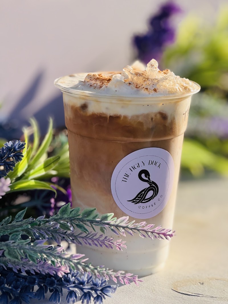 The Ugly Duck Coffee Co