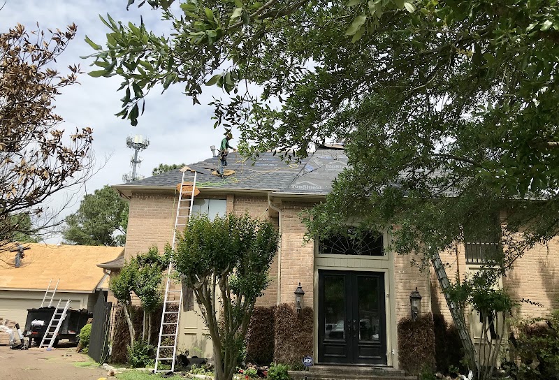 Bare Roofing