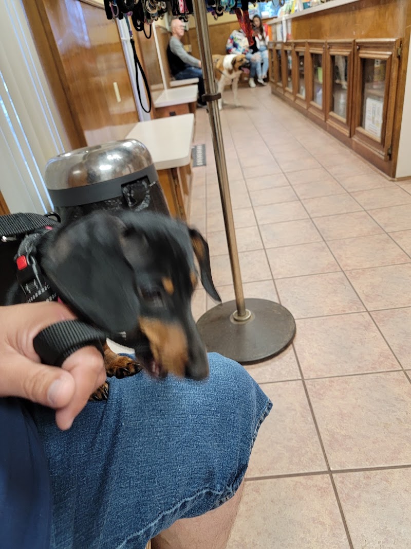 Conroe Veterinary Clinic