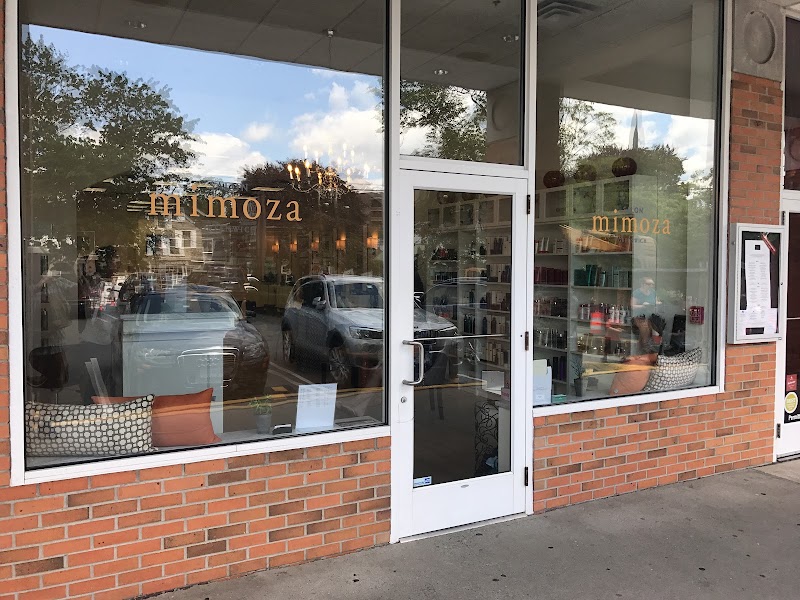 Salon Mimoza Greenwich