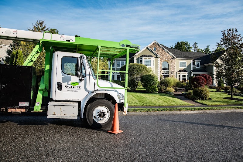 SavATree - Tree Service