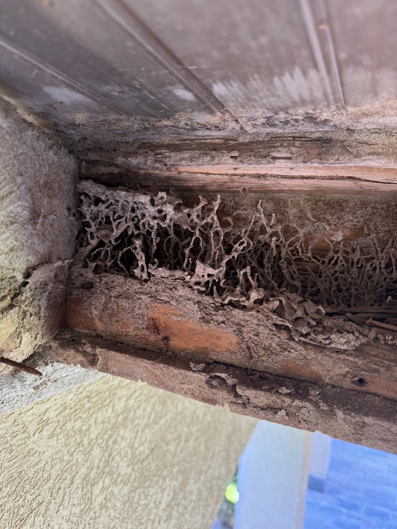 Guardian Mosquito and Pest Control | Spring, TX