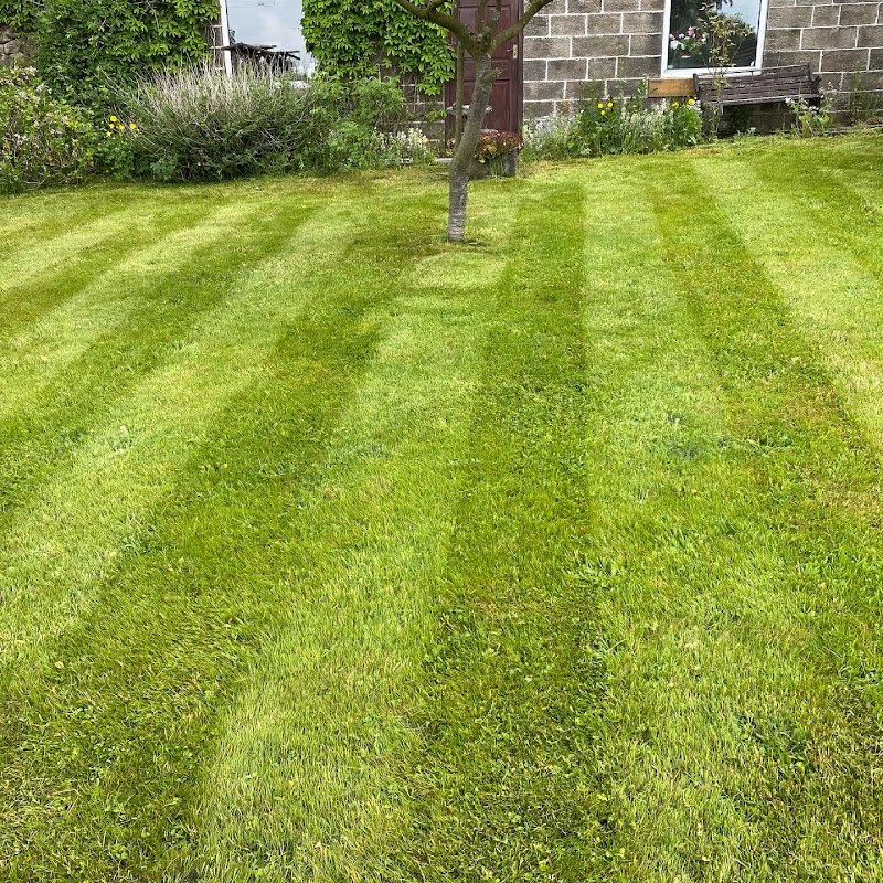 Cutting Hedge Gardening Services Derby Ltd