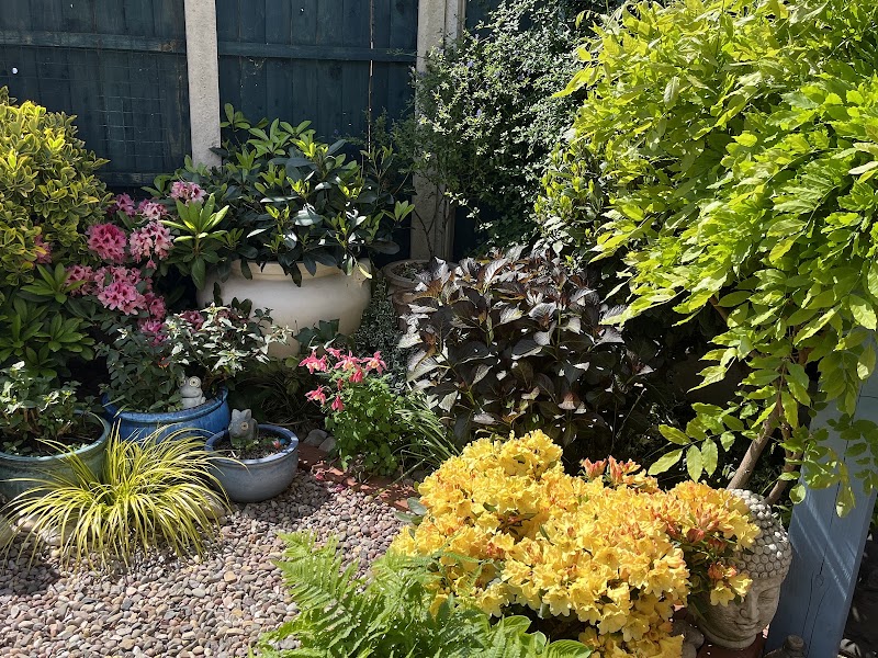Groovy Greenery Gardening Services