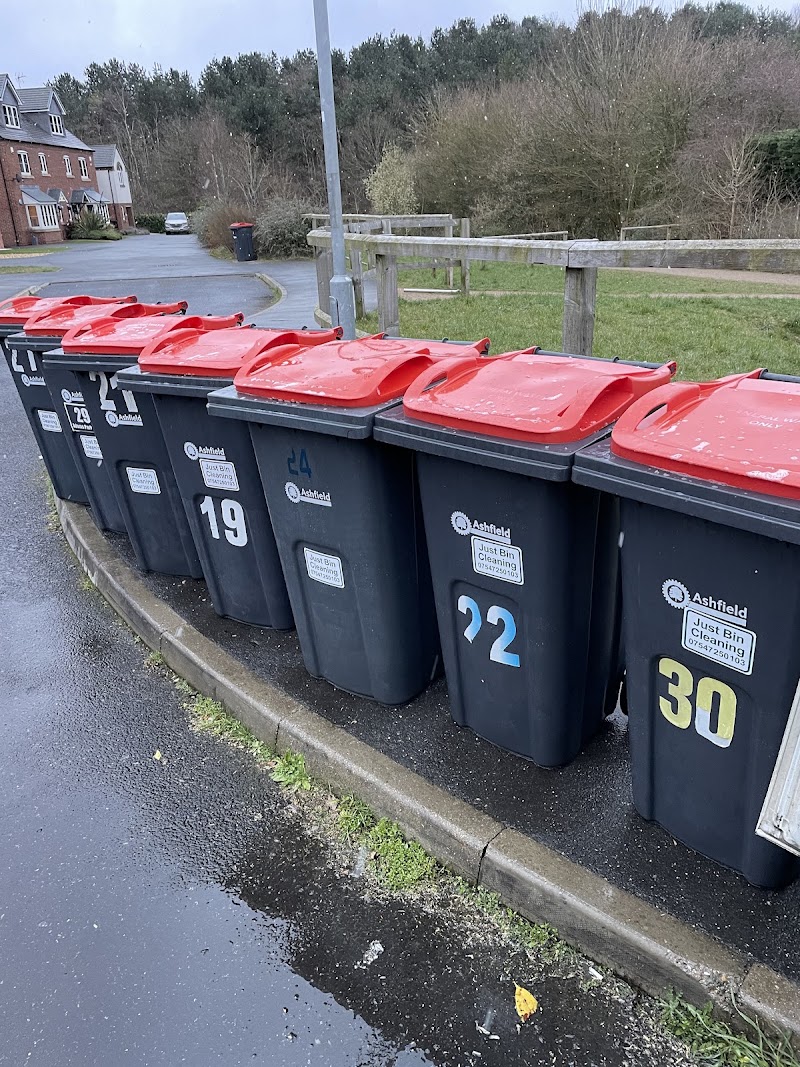 Just Bin cleaning