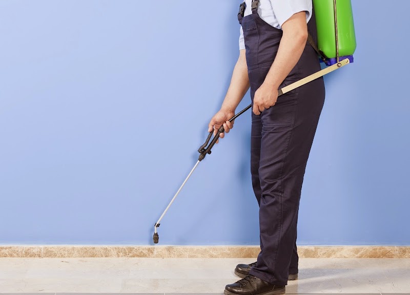 Magnolia Pest Solutions