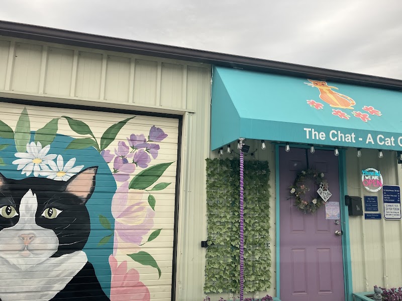 The Chat - A Cat Cafe