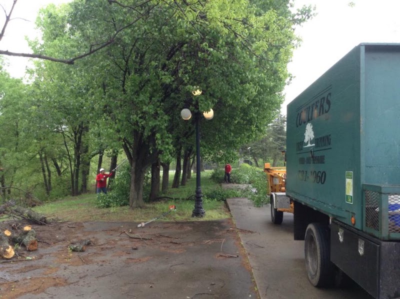 Coulter's Tree Service