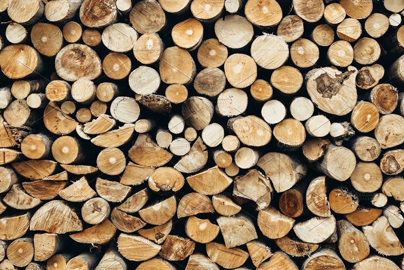 Broken Arrow Tree Services