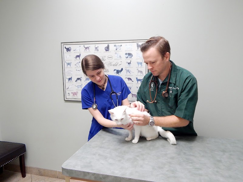 Panther Creek Pet Clinic