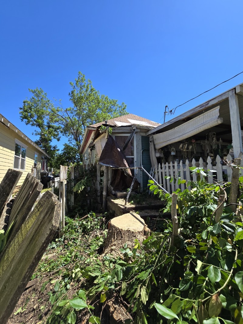 RG Tree Service LLC
