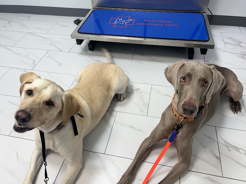 West Davis Veterinary Clinic