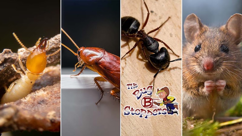 The Bugstoppers Pest Control