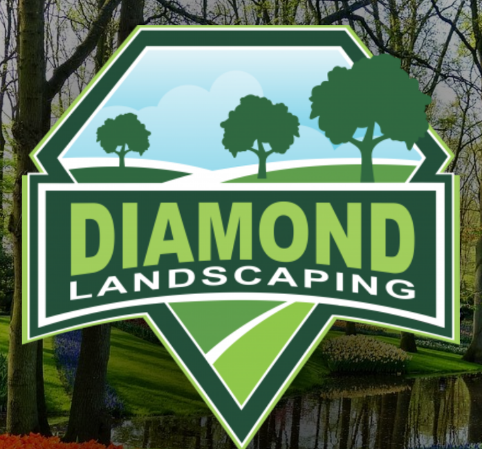 Diamond landscape
