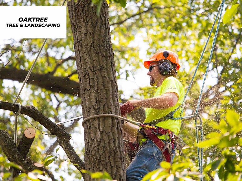 Oaktree Tree And Landscaping