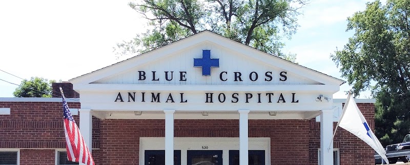 Blue Cross Animal Hospital