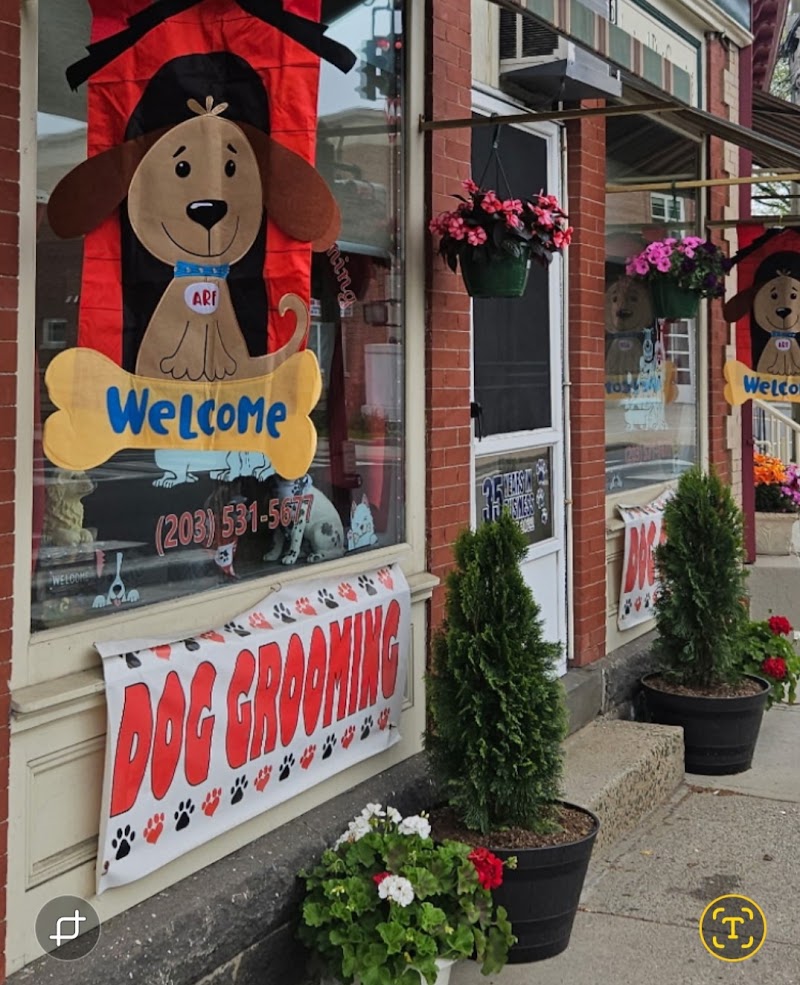 Professional Dog Grooming