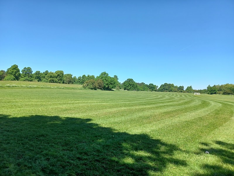Ck Gardens & landscaping