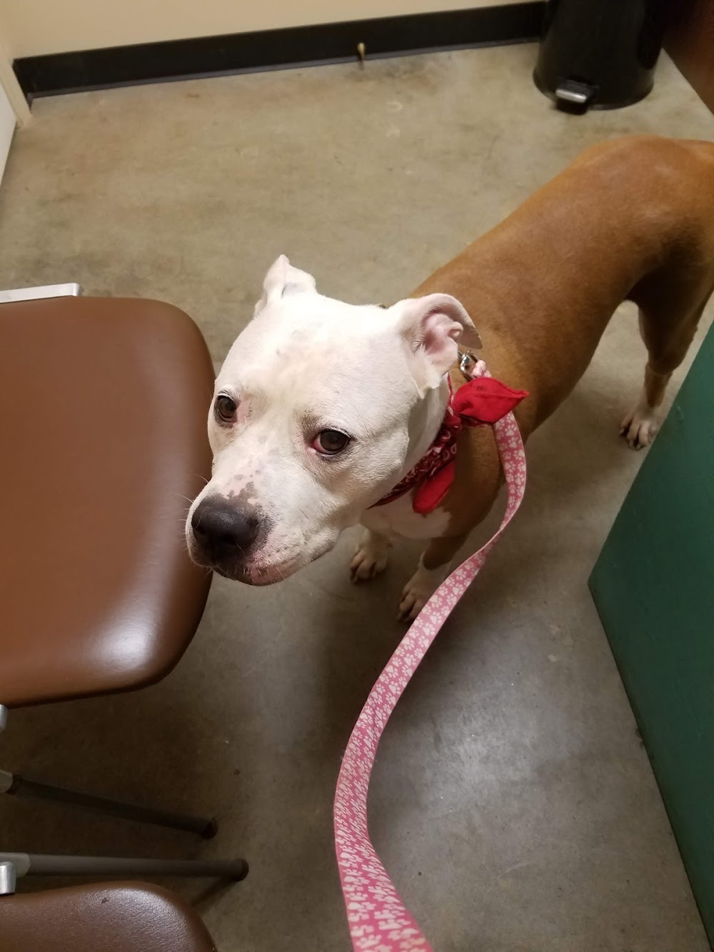 Paradox Spay & Neuter Clinic