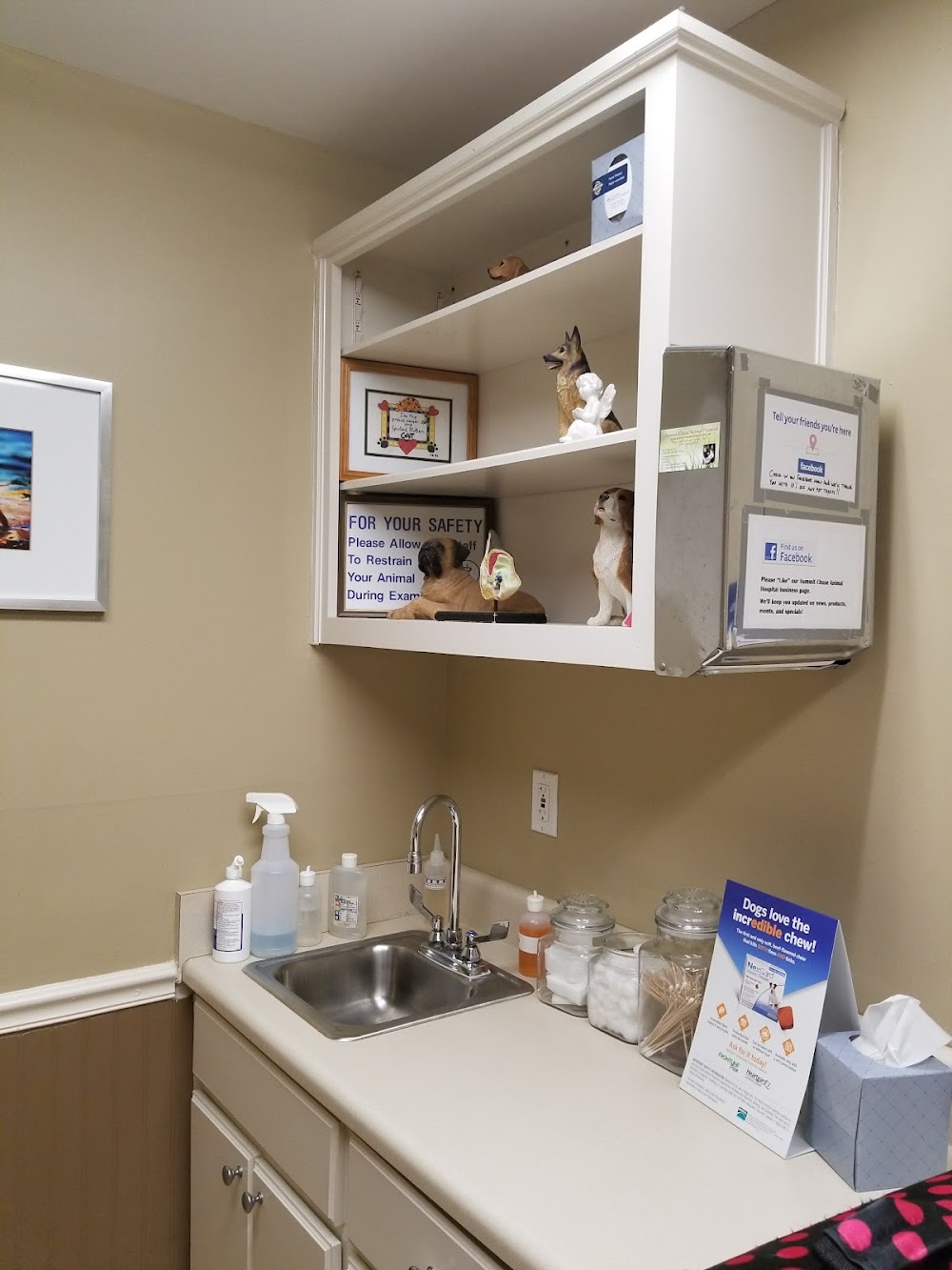 Summit Chase Animal Hospital