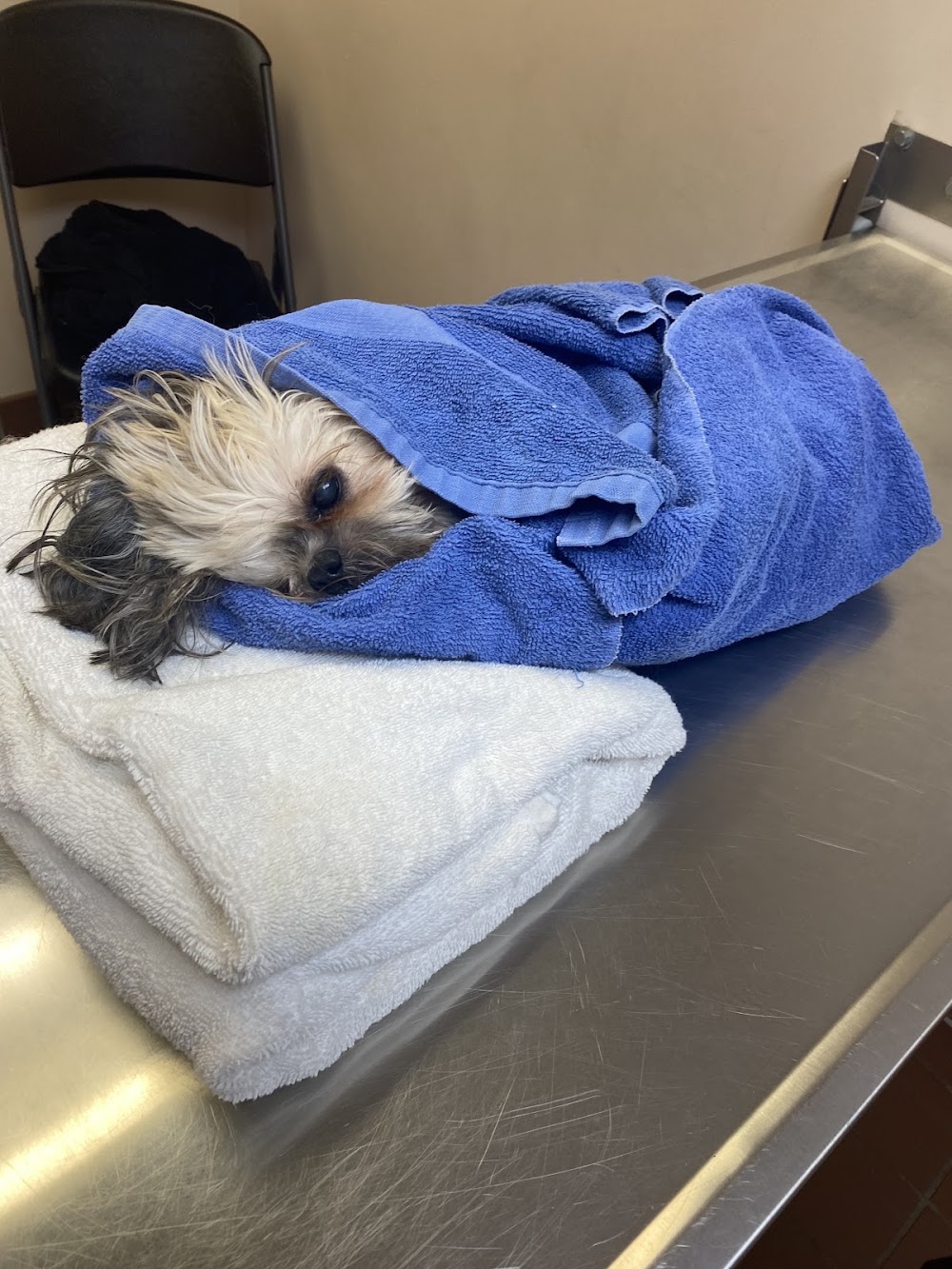 Grayson Veterinary Hospital