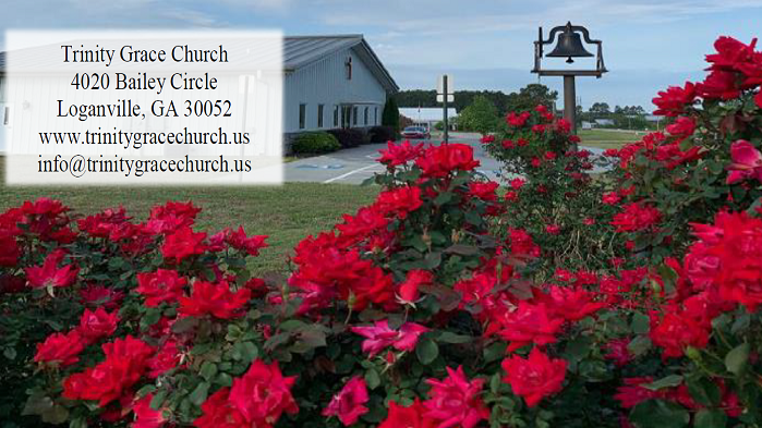 Trinity Grace Church