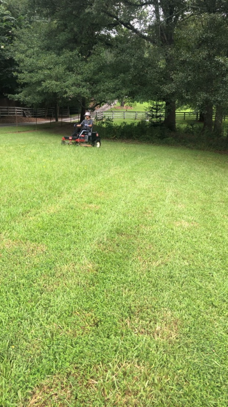 Alexis landscaping llc