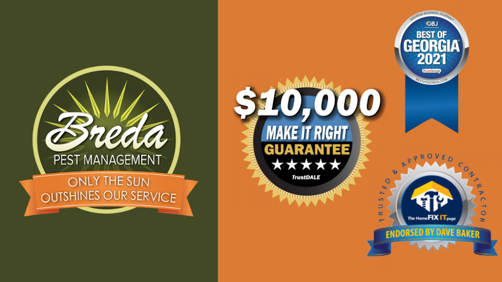 Breda Pest Management