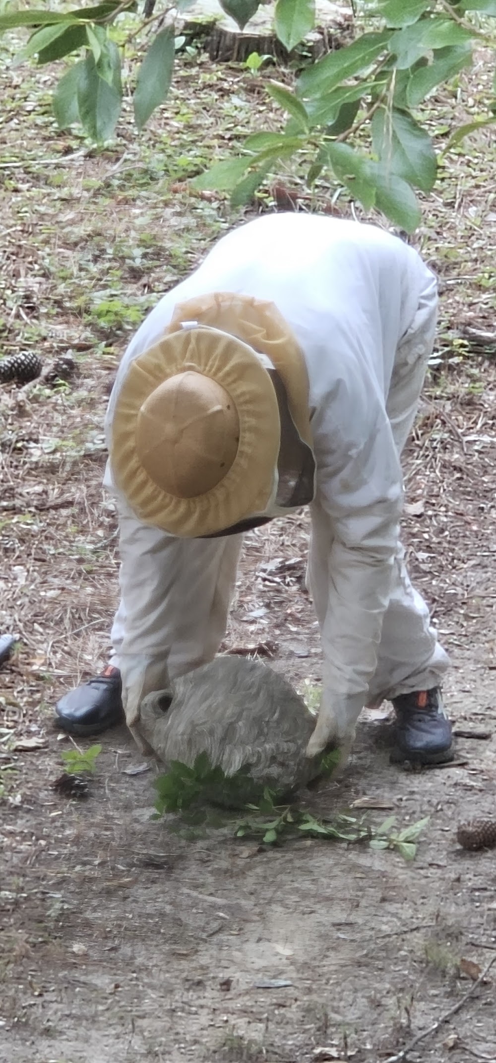 Andrews Termite & Pest Control Inc.
